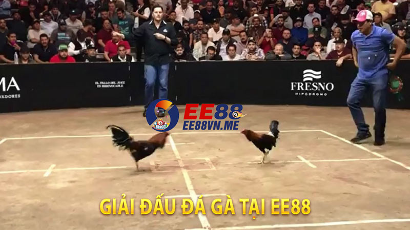 giải đấu đá gà EE88